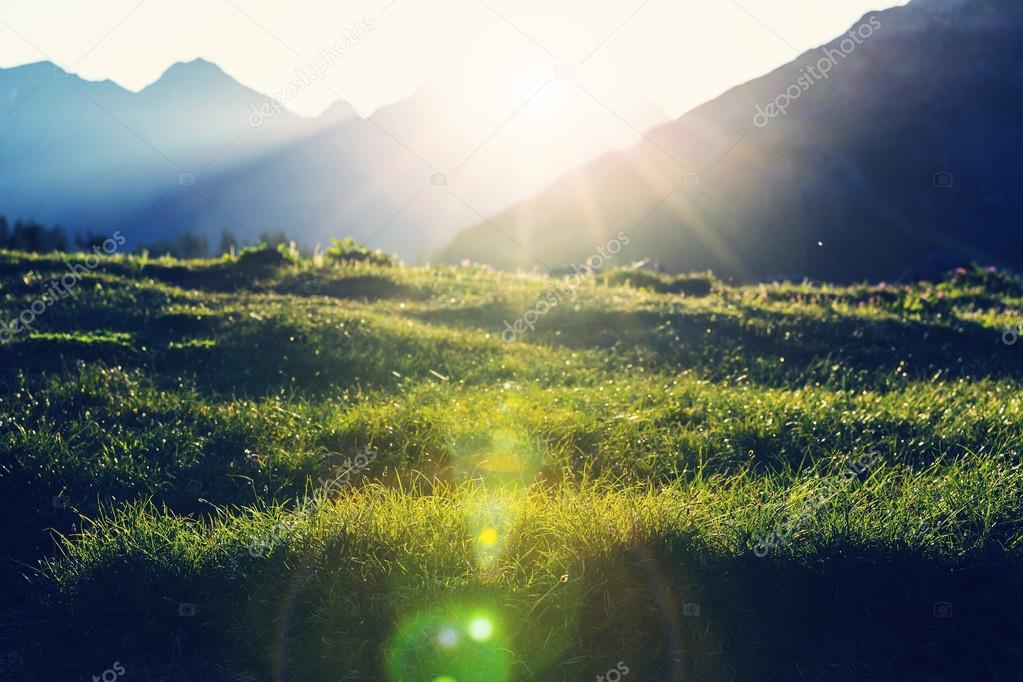 Picturesque Sunny meadow