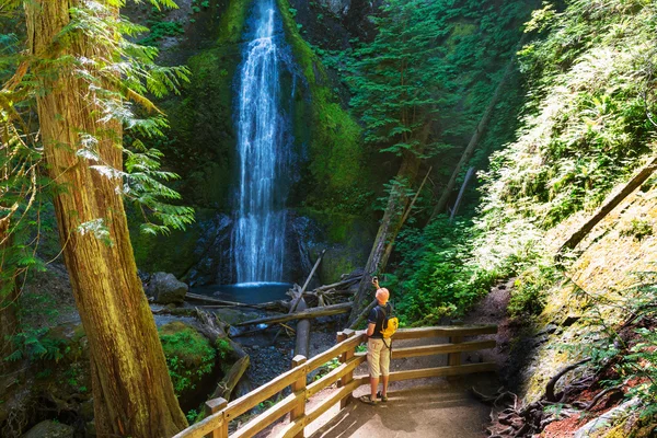 Waterfall in Olympic, USA — Stock Photo, Image