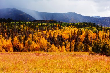 Dağlarda pitoresk sonbahar