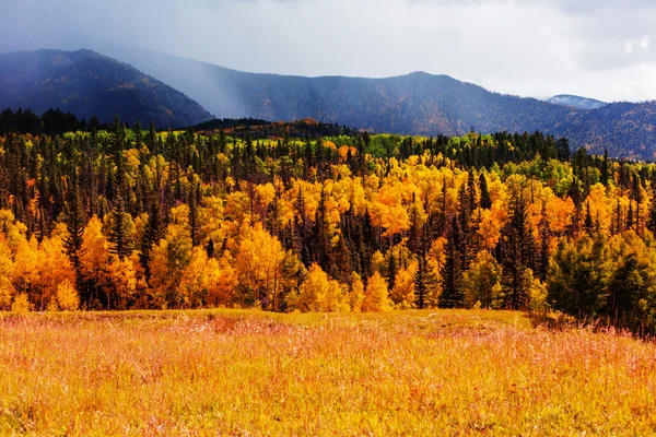 Pintoresco otoño en las montañas — Foto de Stock