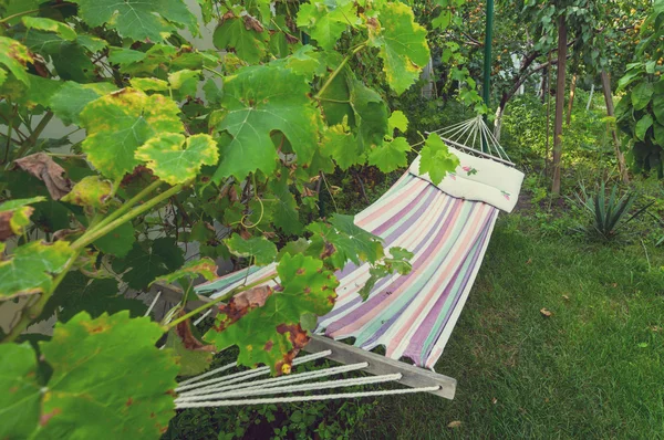 Hangmat in de groene tuin — Stockfoto