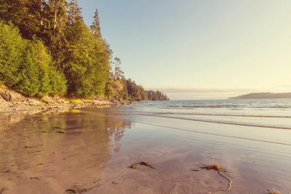 Pintoresca isla de Vancouver — Foto de Stock