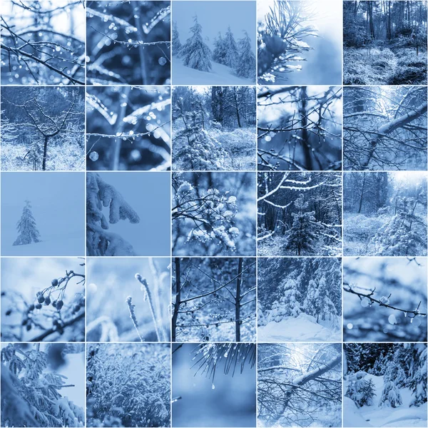 Winter vacation collage — Stock Photo, Image