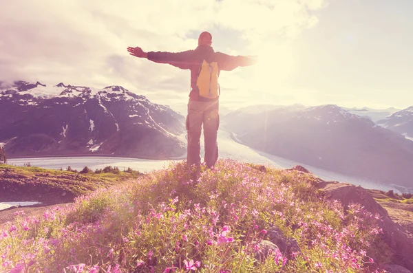 Wandern in den kanadischen Bergen — Stockfoto