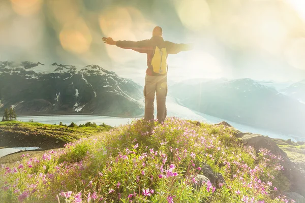 Kanada dağlarında hiking — Stok fotoğraf