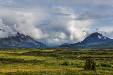 Manzara Denali karayolu üzerinde