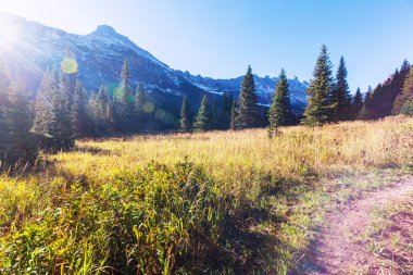 Kışın Buzul Parkı