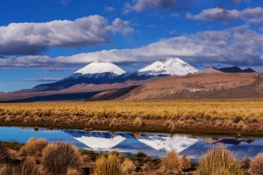 Bolivya'daki karlı dağlar