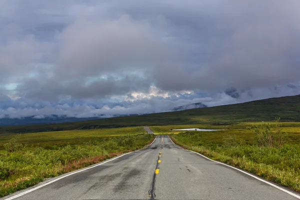 Paisagens na estrada denali — Fotografia de Stock