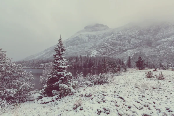 Glacier Park en hiver — Photo