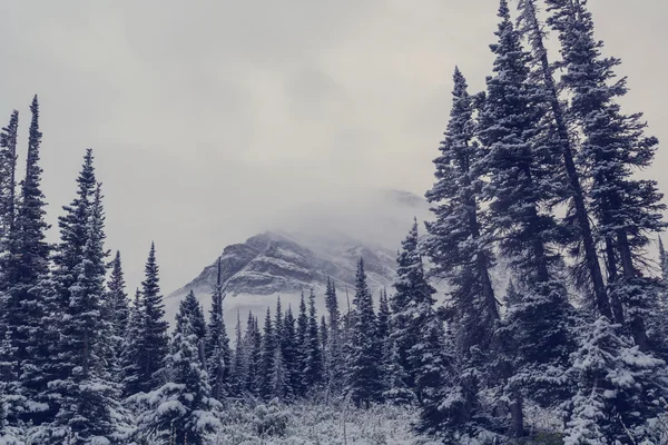 Glacier Park en hiver — Photo