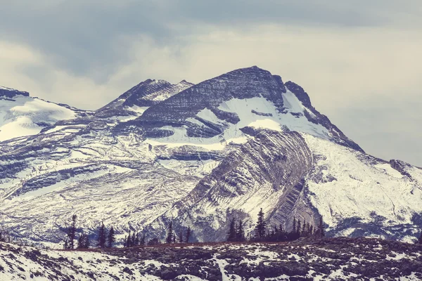 Glacier Park in winter — Stock Photo, Image