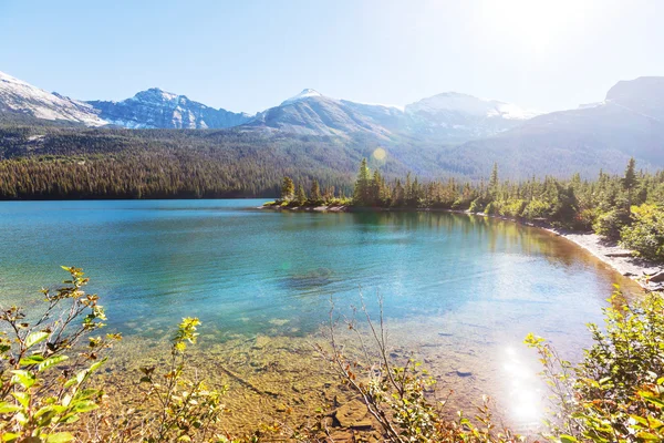 Parco Nazionale del Ghiacciaio — Foto Stock