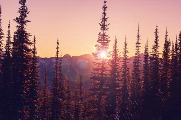 Coucher de soleil panoramique dans les montagnes — Photo