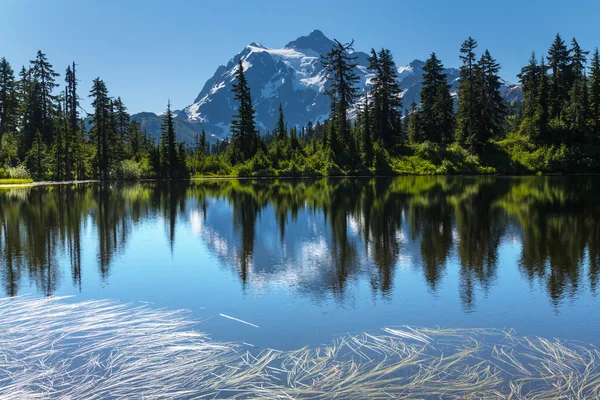 Kuva järvi ja Shuksan-vuori — kuvapankkivalokuva
