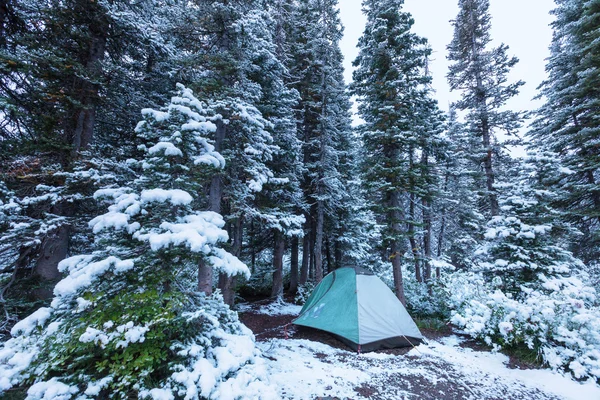 雪に覆われた森のテント — ストック写真