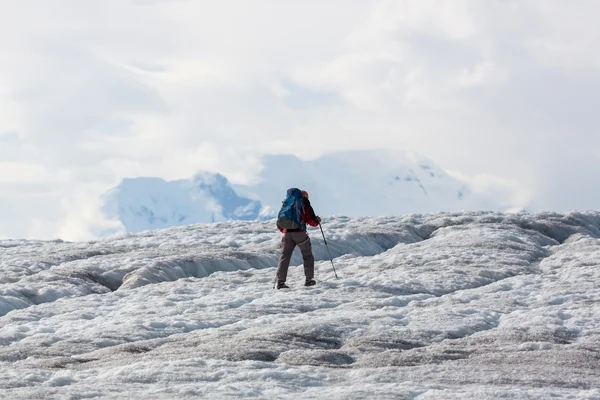 Uzun yürüyüşe çıkan kimse Kennicott buzul üzerinde — Stok fotoğraf