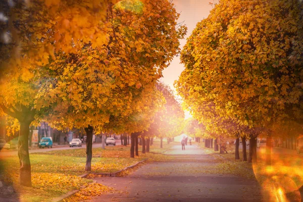 ถนนฤดูใบไม้ร่วงที่สวยงาม — ภาพถ่ายสต็อก