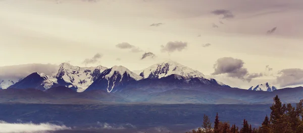Hory na Aljašce v létě — Stock fotografie