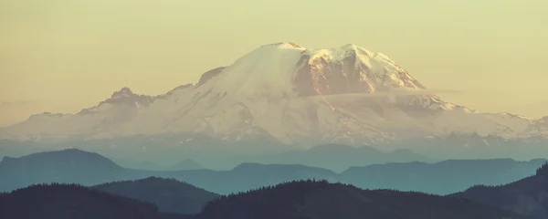 レーニア山, 米国 — ストック写真