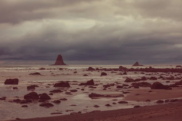 Olympic National Park — Stock Photo, Image