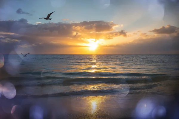 Schilderachtige zee zonsondergang — Stockfoto