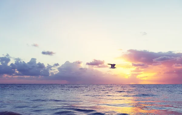 Malerischer Sonnenuntergang am Meer — Stockfoto