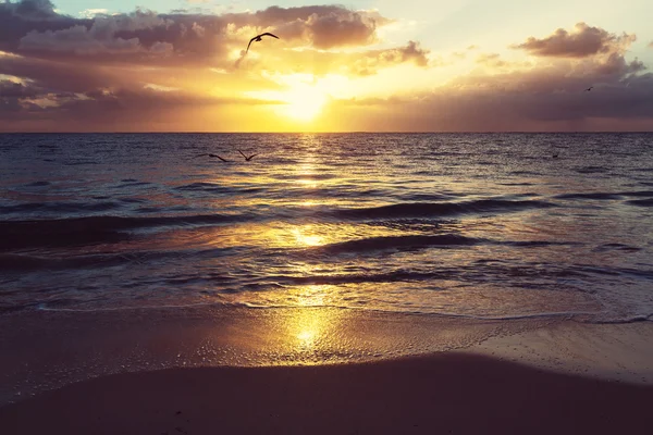 Natursköna havet solnedgång — Stockfoto