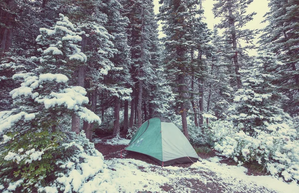 Tienda en el bosque de invierno —  Fotos de Stock