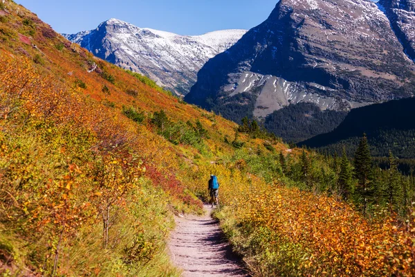 Outono em Glacier Park — Fotografia de Stock