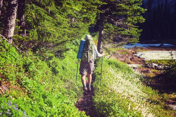 Backpacker in den Sommerbergen — Stockfoto