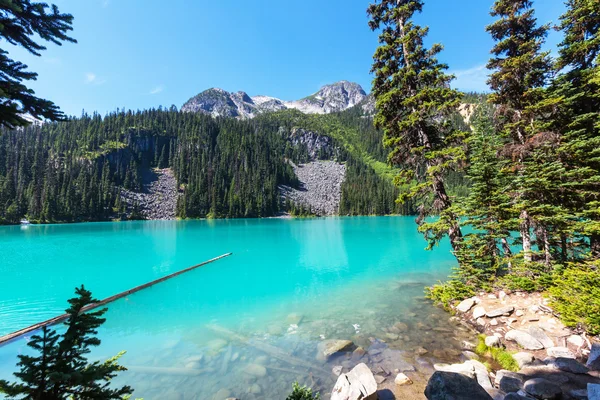 Joffre lake in Canada — Stockfoto