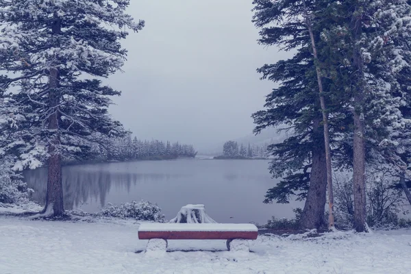 Inverno nel Parco del Ghiacciaio — Foto Stock