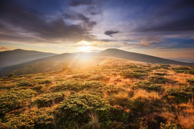 Karpatya dağlarında güzel doğal manzaralar