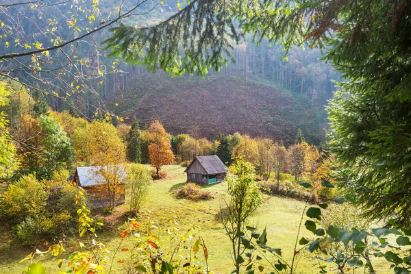 Scena Autunnale Del Villaggio Montagna Stagione Autunnale Nei Carpazi — Foto Stock