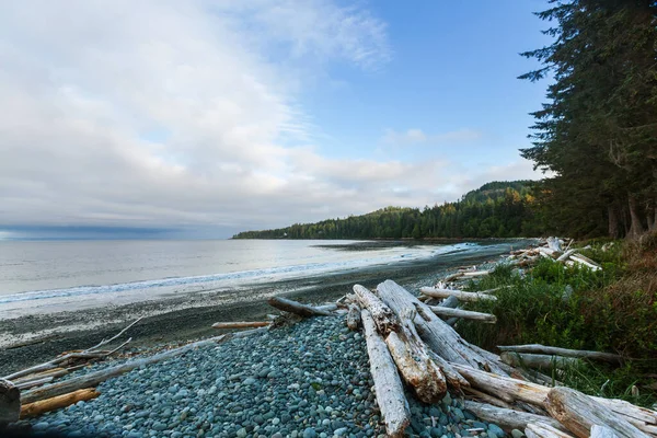 British Columbia, Kanada 'da Pasifik Okyanusu kıyısında. Seyahat konsepti.