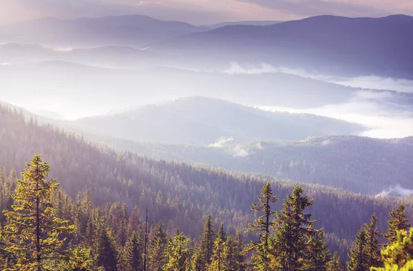 Чудові Природні Краєвиди Карпатських Гір — стокове фото