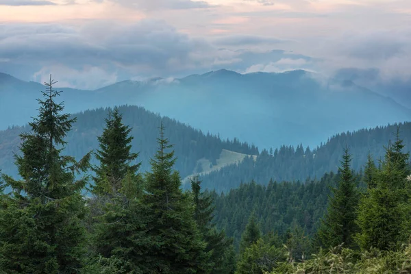カルパチア山脈の美しい自然景観 — ストック写真