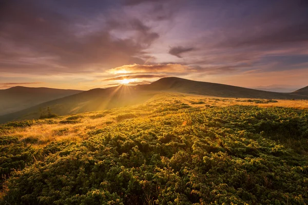 Karpatya Dağlarında Güzel Doğal Manzaralar — Stok fotoğraf