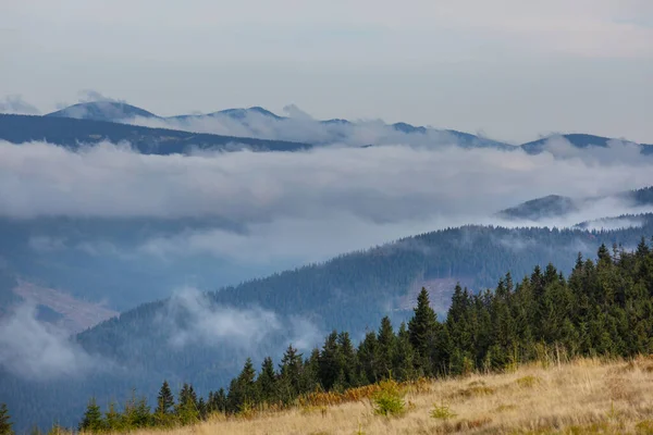 Vackra Naturlandskap Karpaterna — Stockfoto