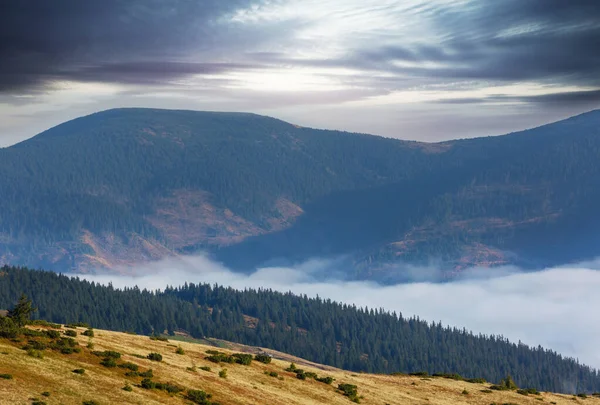Vackra Naturlandskap Karpaterna — Stockfoto
