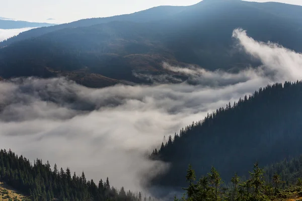 山の中で美しい朝のシーン 日の出の霧 — ストック写真