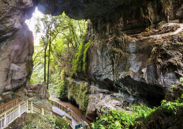 Unusual Cave Landscapes New Zealand — Stock Photo, Image