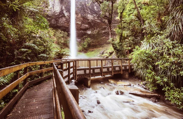 緑の熱帯雨林の美しい滝 — ストック写真