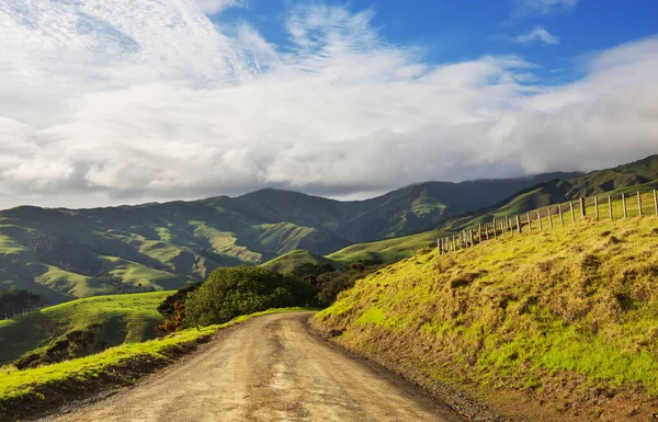 Yeni Zelanda Daki Yeşil Tepeler Arasında Manzaralı Yol — Stok fotoğraf