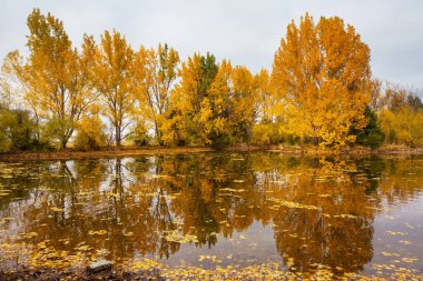 Güz mevsiminde güzel göl