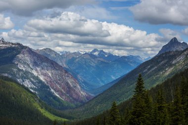 North Cascade Range, Washington / ABD 'de güzel bir dağ zirvesi.