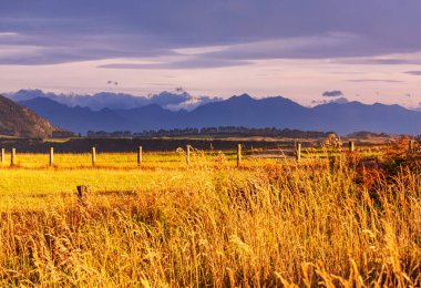 Gündoğumunda Yeni Zelanda 'nın güzel kırsal manzarası