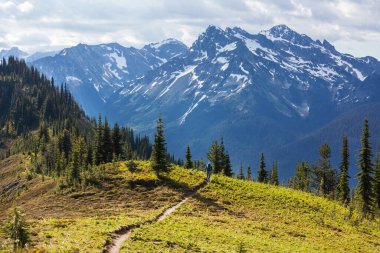 North Cascade Range, Washington / ABD 'de güzel bir dağ zirvesi.