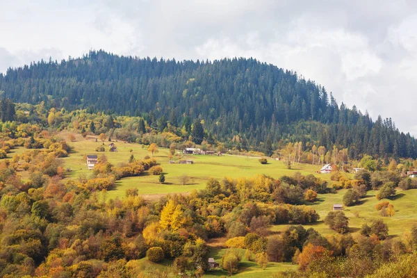 Paisagens Outono Montanhas Dos Cárpatos Ucrânia — Fotografia de Stock